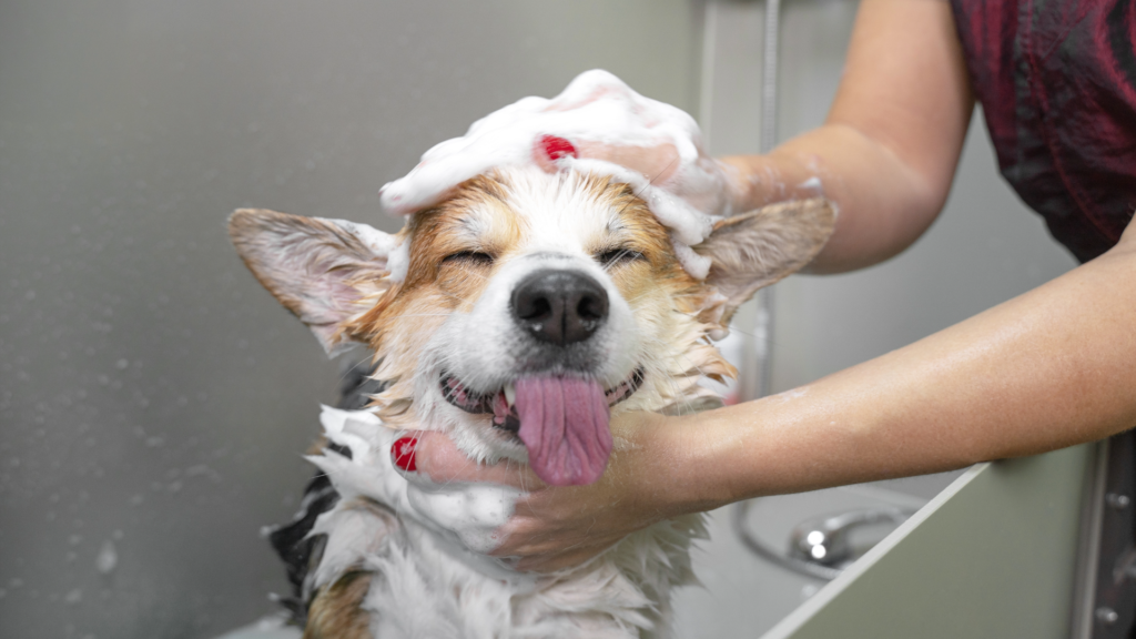 grooming