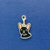 Placa ID Bulldog Frances