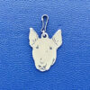 Placa identificacion Bullterrier
