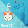 Placa ID gato
