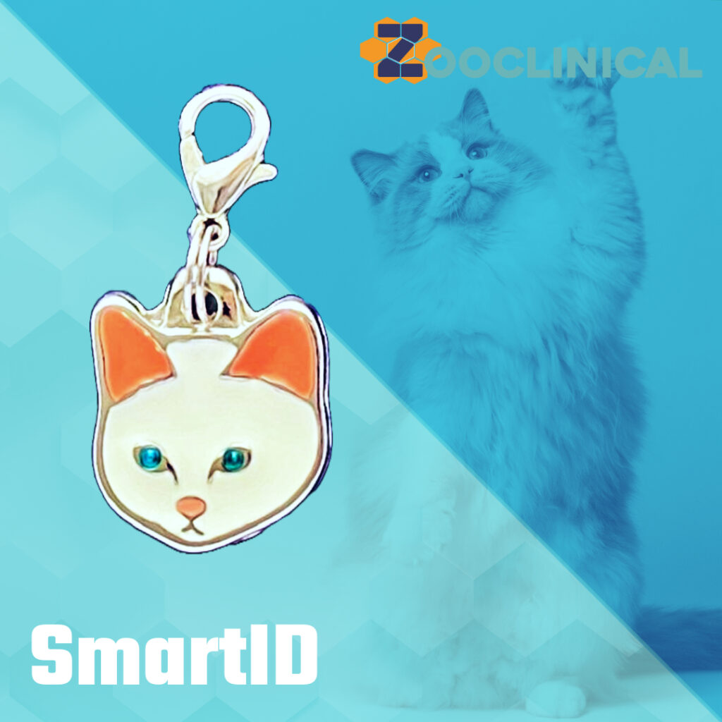 Placa ID gato