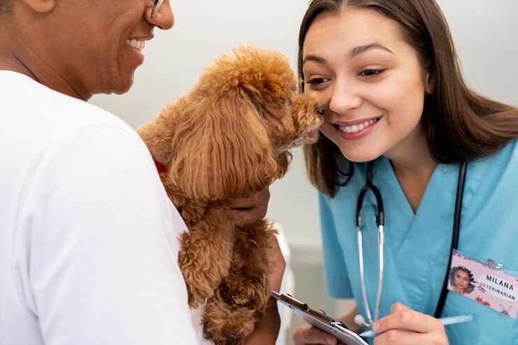 vet care