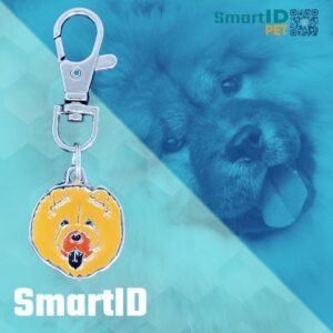 Placa metalica perro QR historia digital