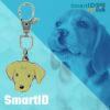 Placa identificacion cachorro digital inteligente QR