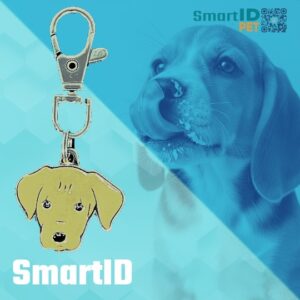 Placa identificacion cachorro digital inteligente QR