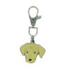 Placa identificacion cachorro digital inteligente QR