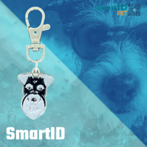 Placa metalica perro QR historia digital