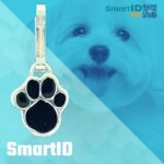 Placa metalica perro o gato pequeño